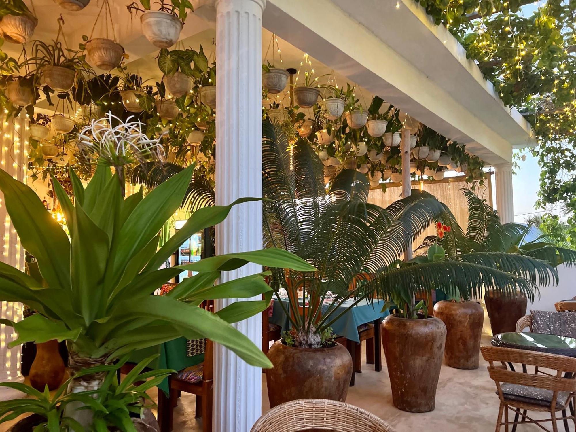 Gadea Boutique Hotel& Gadea Garden Italian Restaurant (Adults Only) Jambiani (Zanzibar) Exterior foto