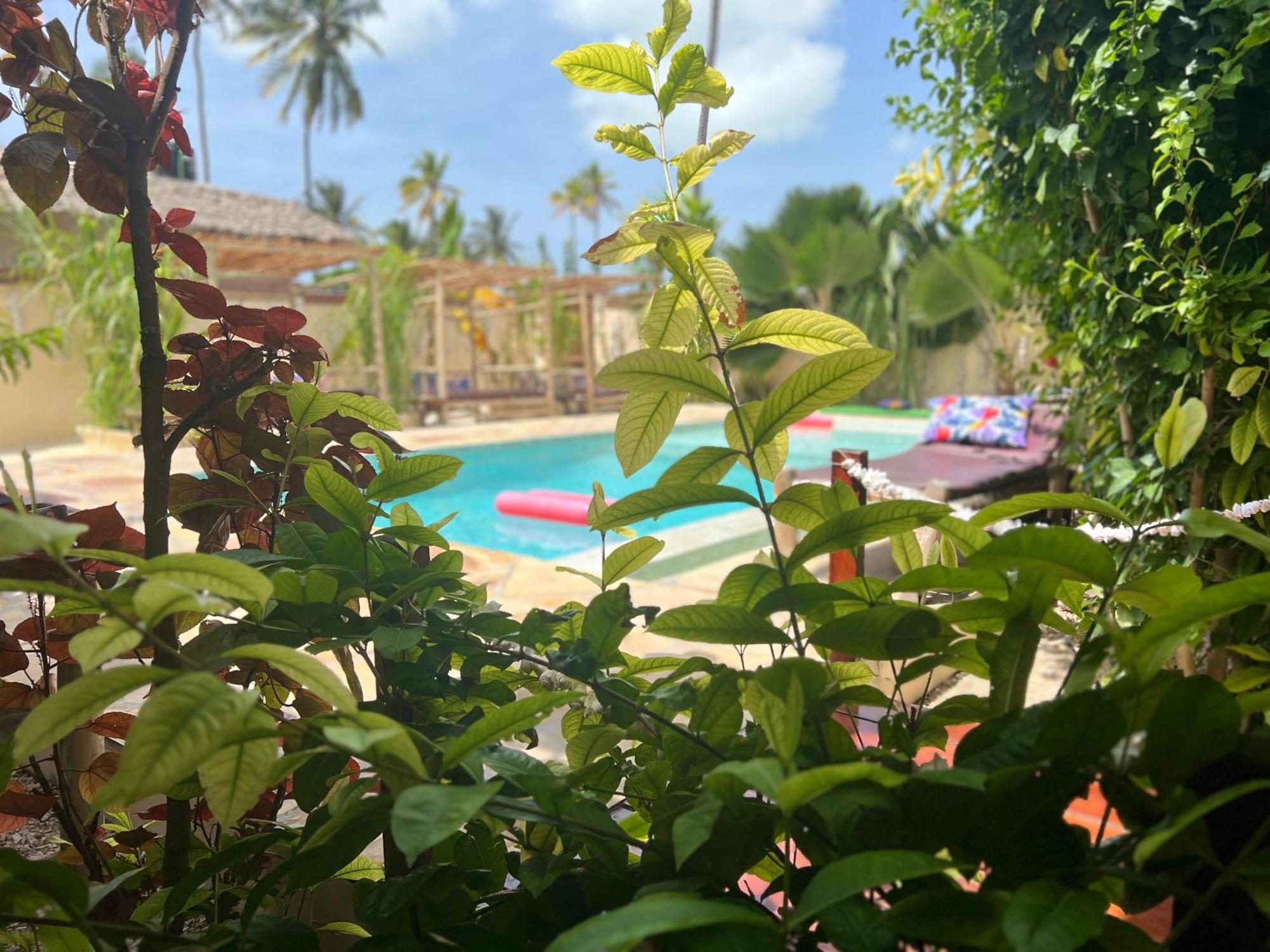 Gadea Boutique Hotel& Gadea Garden Italian Restaurant (Adults Only) Jambiani (Zanzibar) Exterior foto
